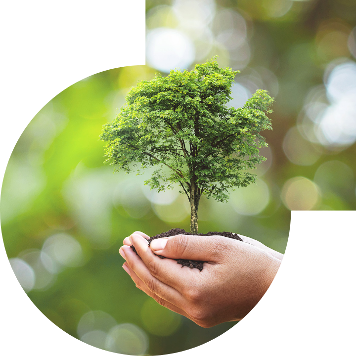 �P��������Ļ����h���c���