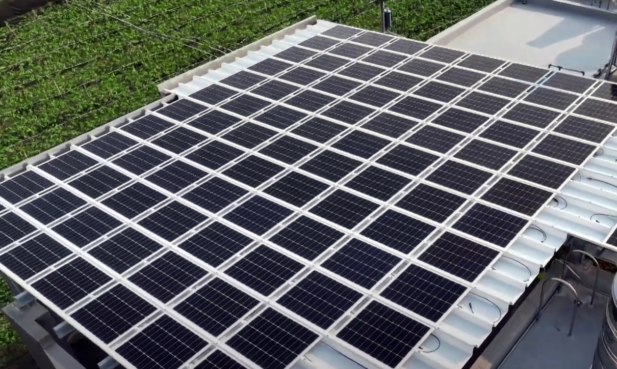 LEYU�پWSunSteel����˰������p���Y�����������Cеؓ�d���ȼ�����ͺ�����ɏV���\���ڶ�Ԫ����