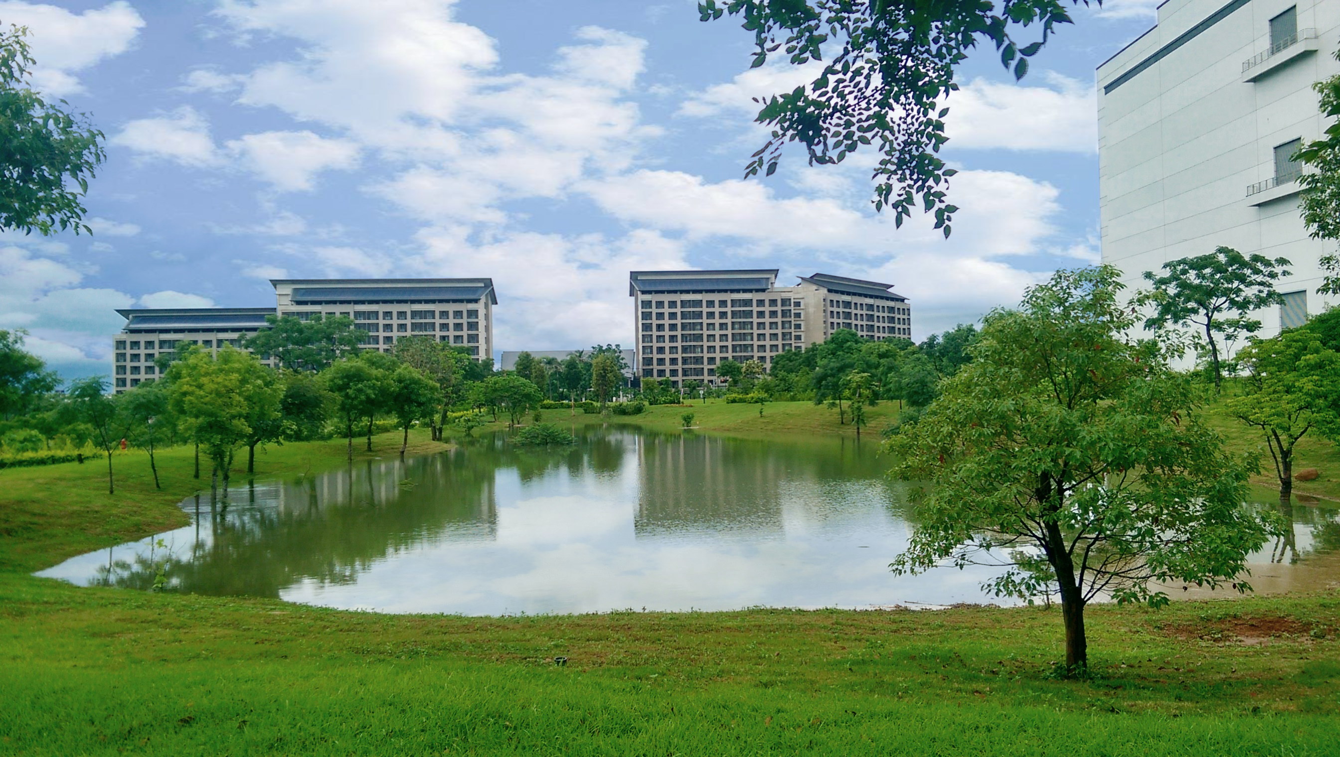 LEYU�پW(w��ng)푑�(y��ng)���H���h���������څ��(sh��)���״ΰl(f��)��TNFD��Ȼ���P(gu��n)ؔ(c��i)��(w��)��¶��(b��o)�����뢄����_չLEYU�پW(w��ng)�������������֮���Z�����~���c��Ȼ���C����