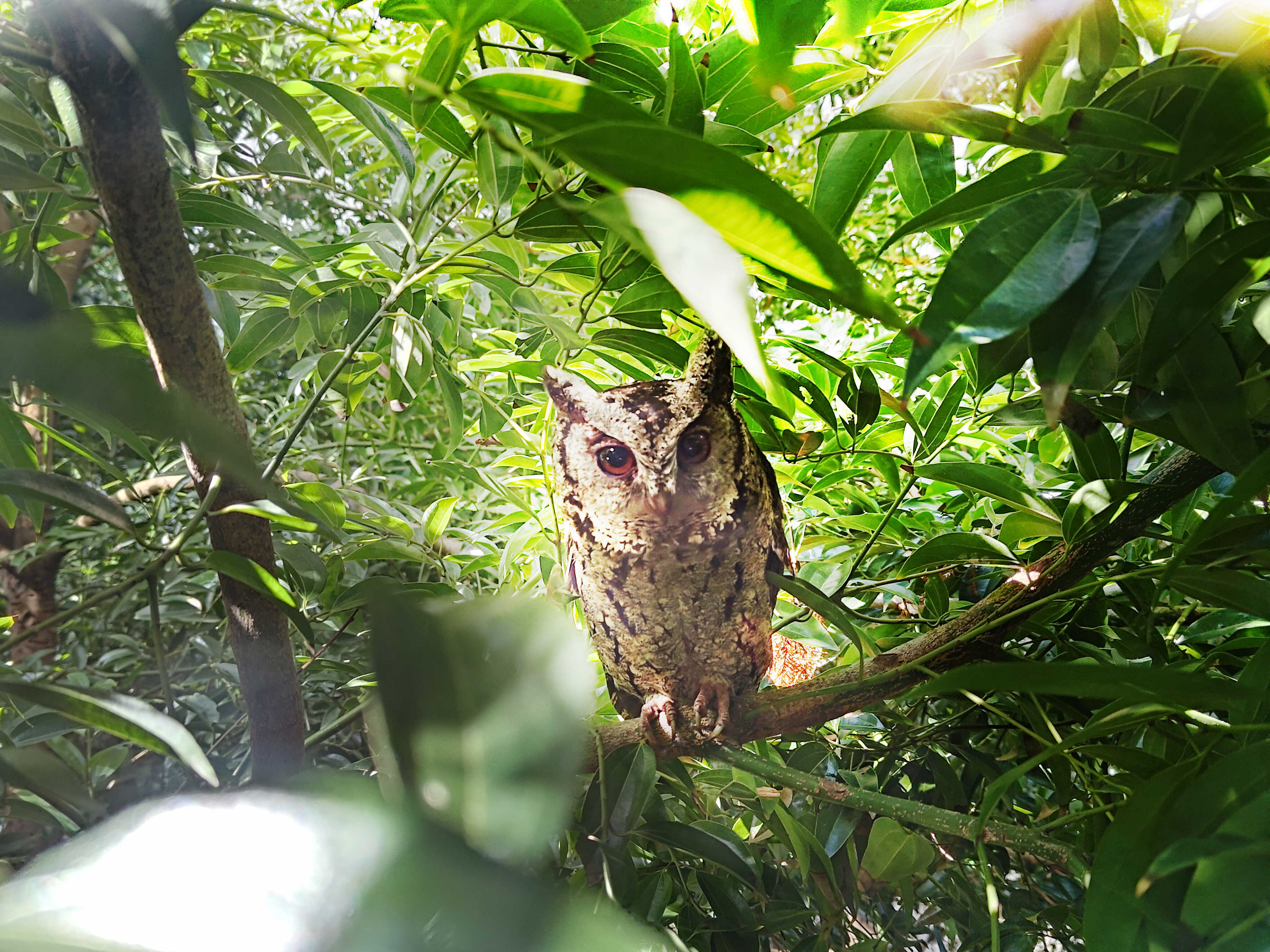 LEYU�پW(w��ng)�����ᳫ����G���16���ԁ���ȫ����S�^(q��)ֲ������f�ã���͸��S�^(q��)��ľεȻ���֣��q��ɭ�ֹ��S���ɞ��S������ė�Ϣ��